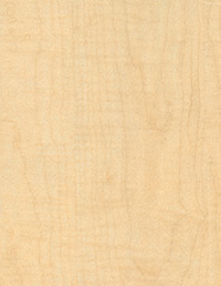 Click to view a larger image of Fusion Maple 7909-60